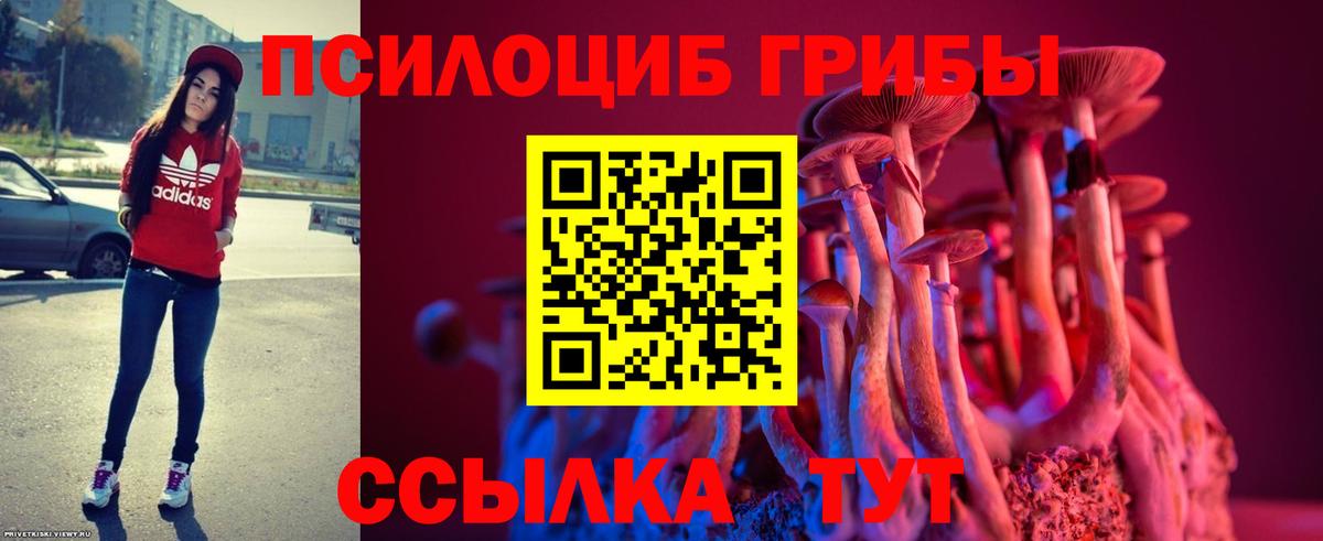 Галлюциногенные грибы Cubensis Ухта