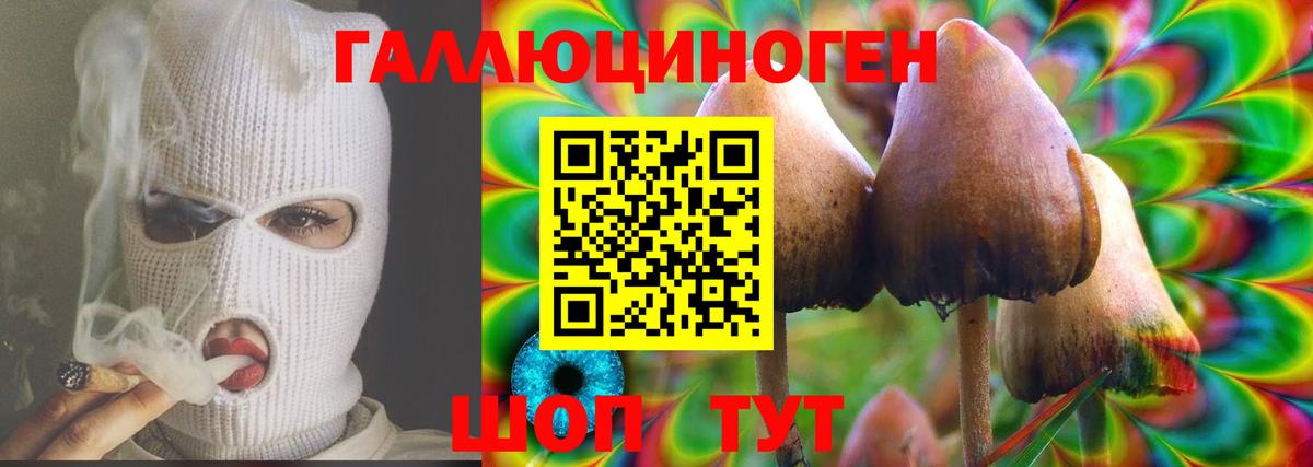 Ухта  Галлюциногенные грибы Psilocybe  Вход с VPN 